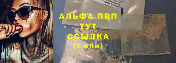 шишки Алзамай