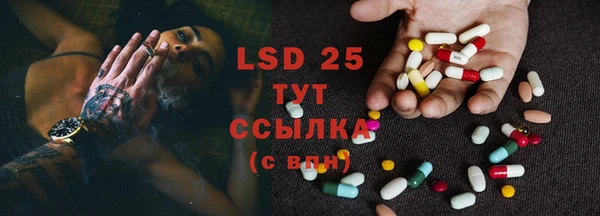 шишки Алзамай