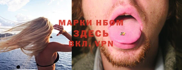 шишки Алзамай