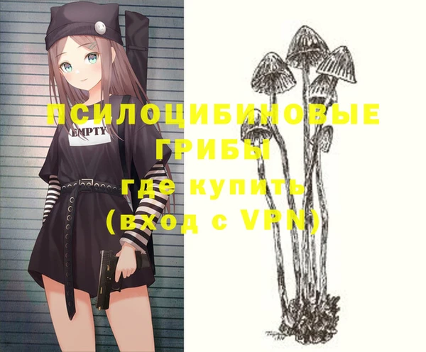 герыч Алексин
