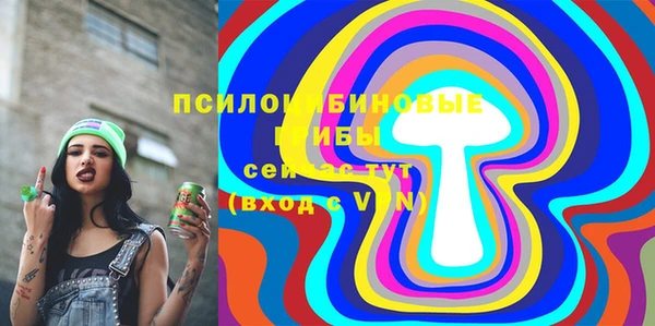шишки Алзамай